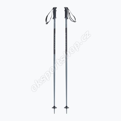 Sjezdové hole Rossignol Tactic Grey/black 2022/23
