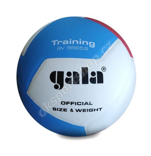 Míč volejbal Pro Line Gala BV5565S